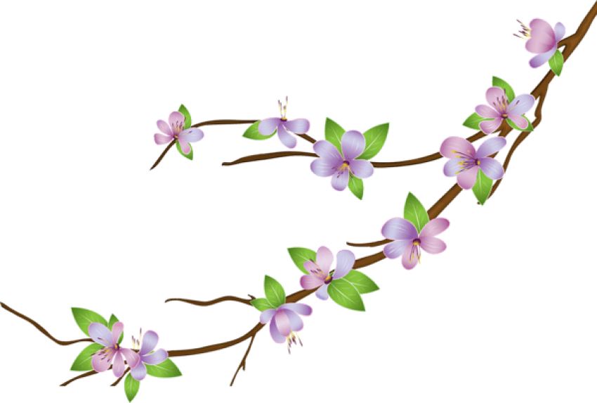 Blooming Branch Png Clipart (850x574), Png Download