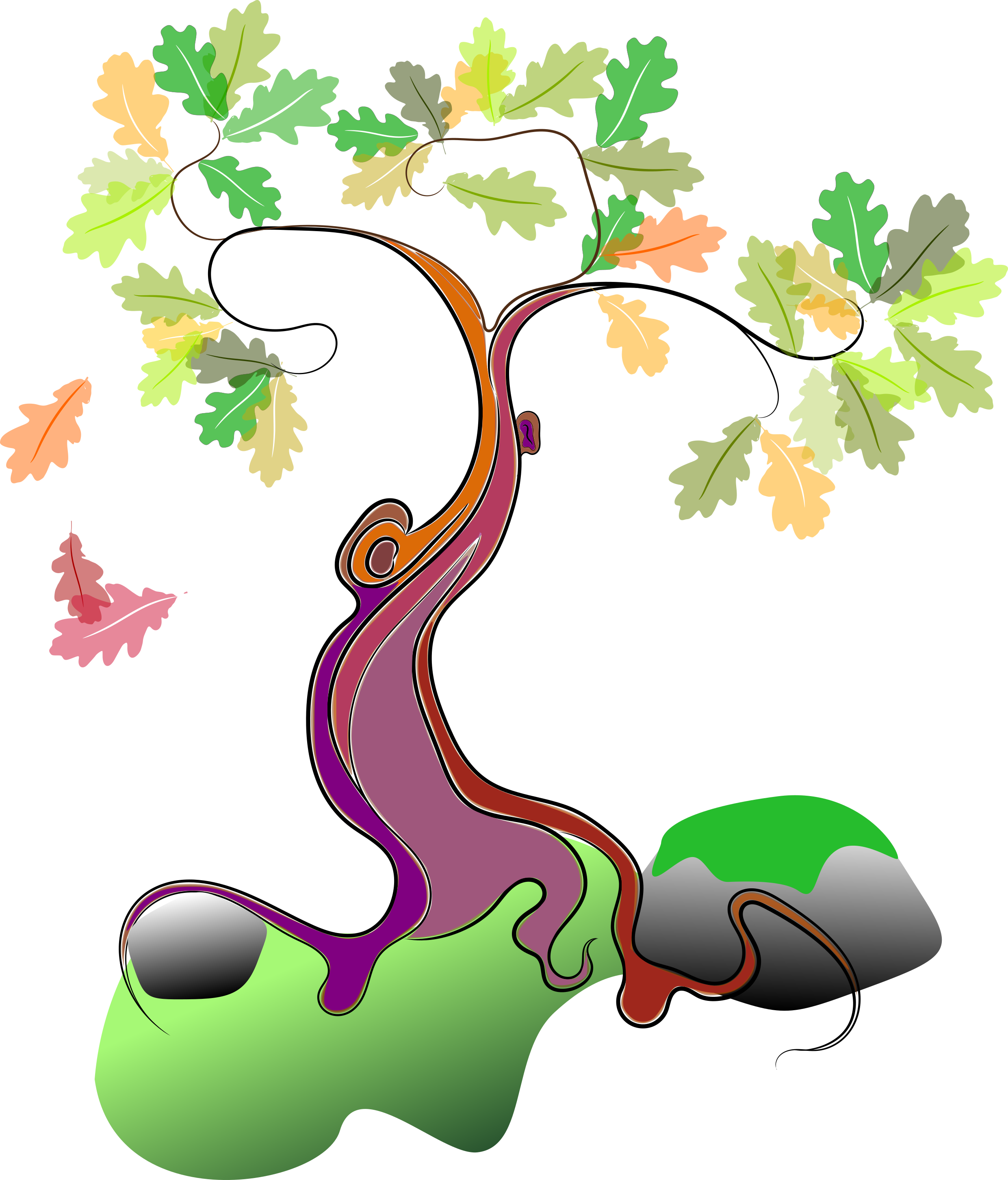 Small Oak Clipart (2481x2905), Png Download