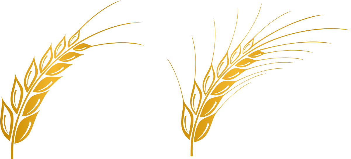 Euclidean Vector Gratis Computer File Clipart (1201x544), Png Download