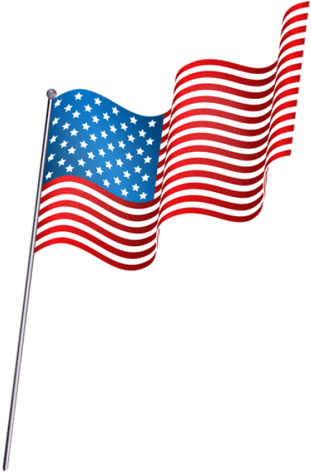 Free Png Download American Waving Flag Png Clipart Transparent Png (480x698), Png Download