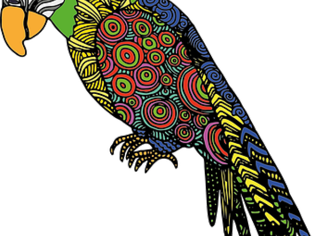 Parrot Clipart Colourful Parrot - Png Download (640x480), Png Download