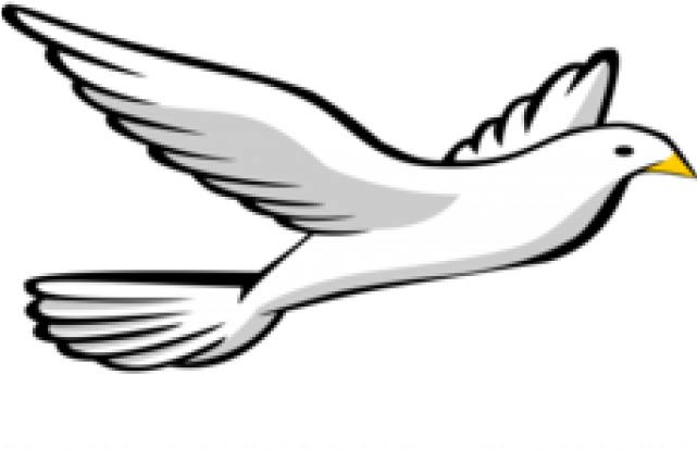 Turtle Dove Clipart Drawing - Png Download (640x480), Png Download