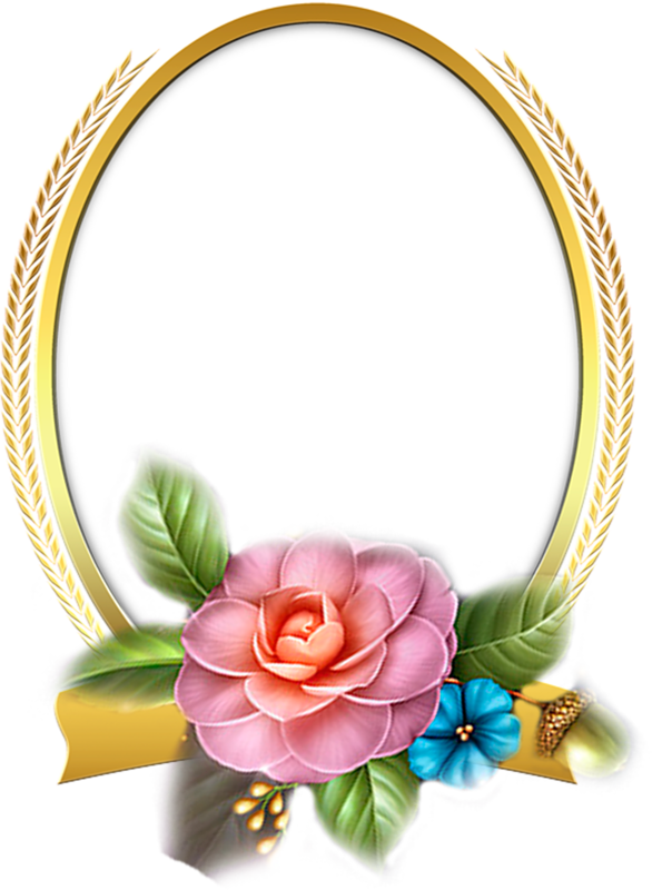 Borders And Frames, Borders For Paper, Flower Frame, Clipart (586x800), Png Download