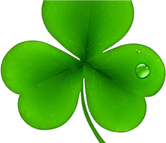 Shamrock Clipart Ireland - Png Download (640x480), Png Download