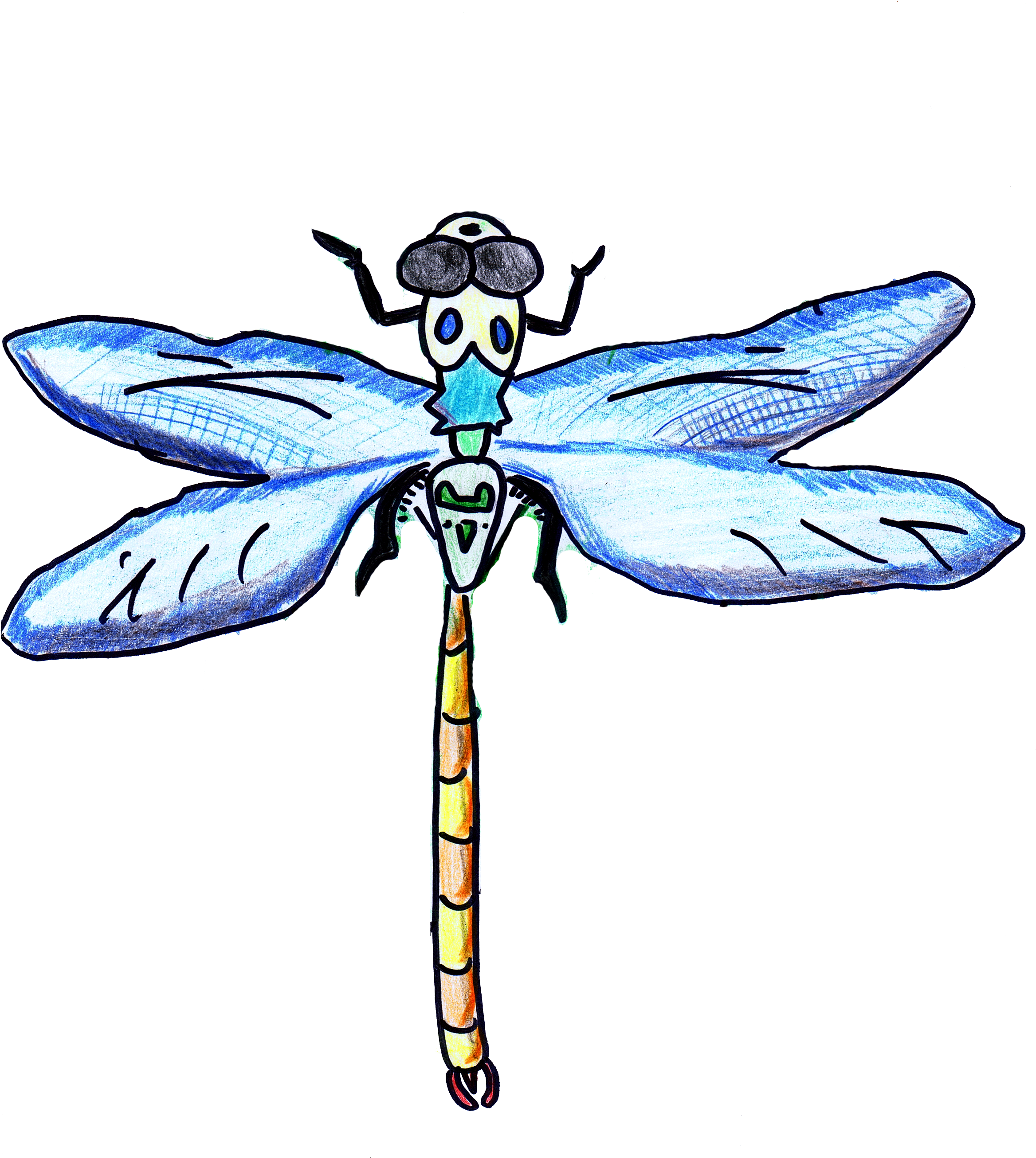 Dragonfly Transparent Flower Drawing Clipart (2355x2647), Png Download