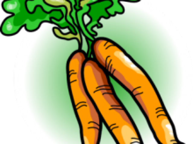 Carrot Clipart Food - Png Download (640x480), Png Download