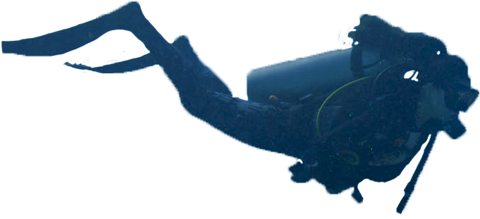 Diver Clipart Marine Science - Png Download (828x552), Png Download