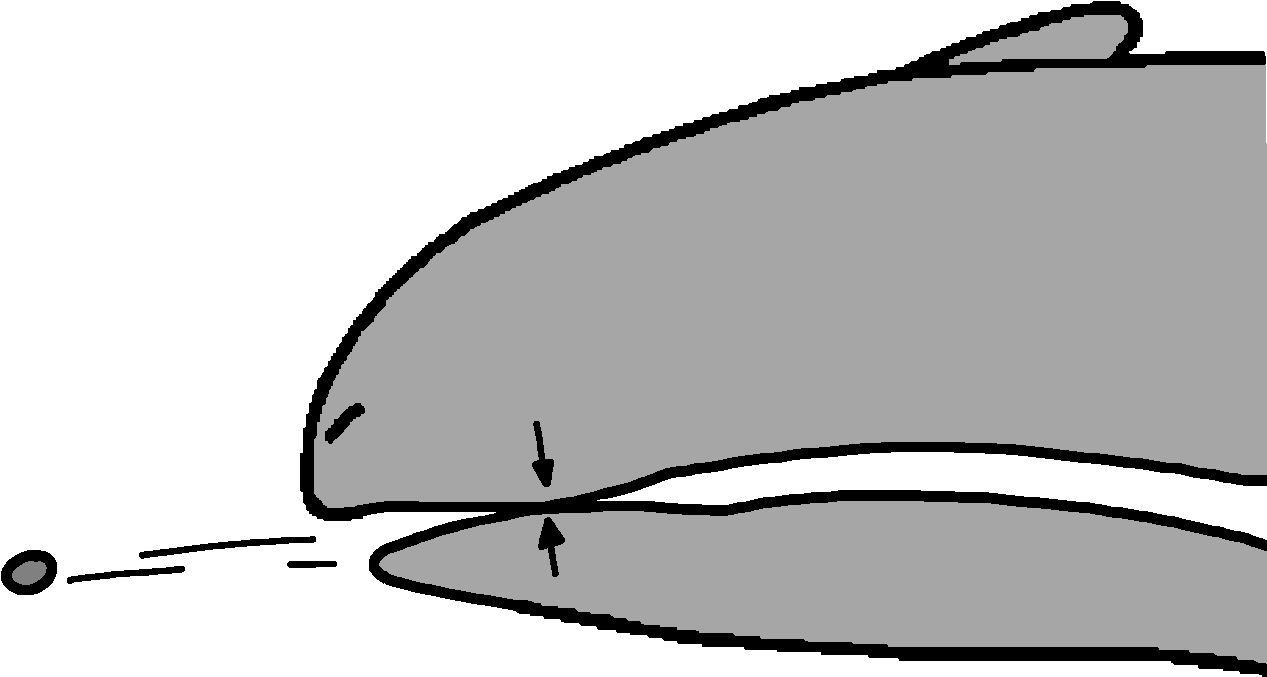 Bone Clip Pebble - Png Download (1536x1536), Png Download