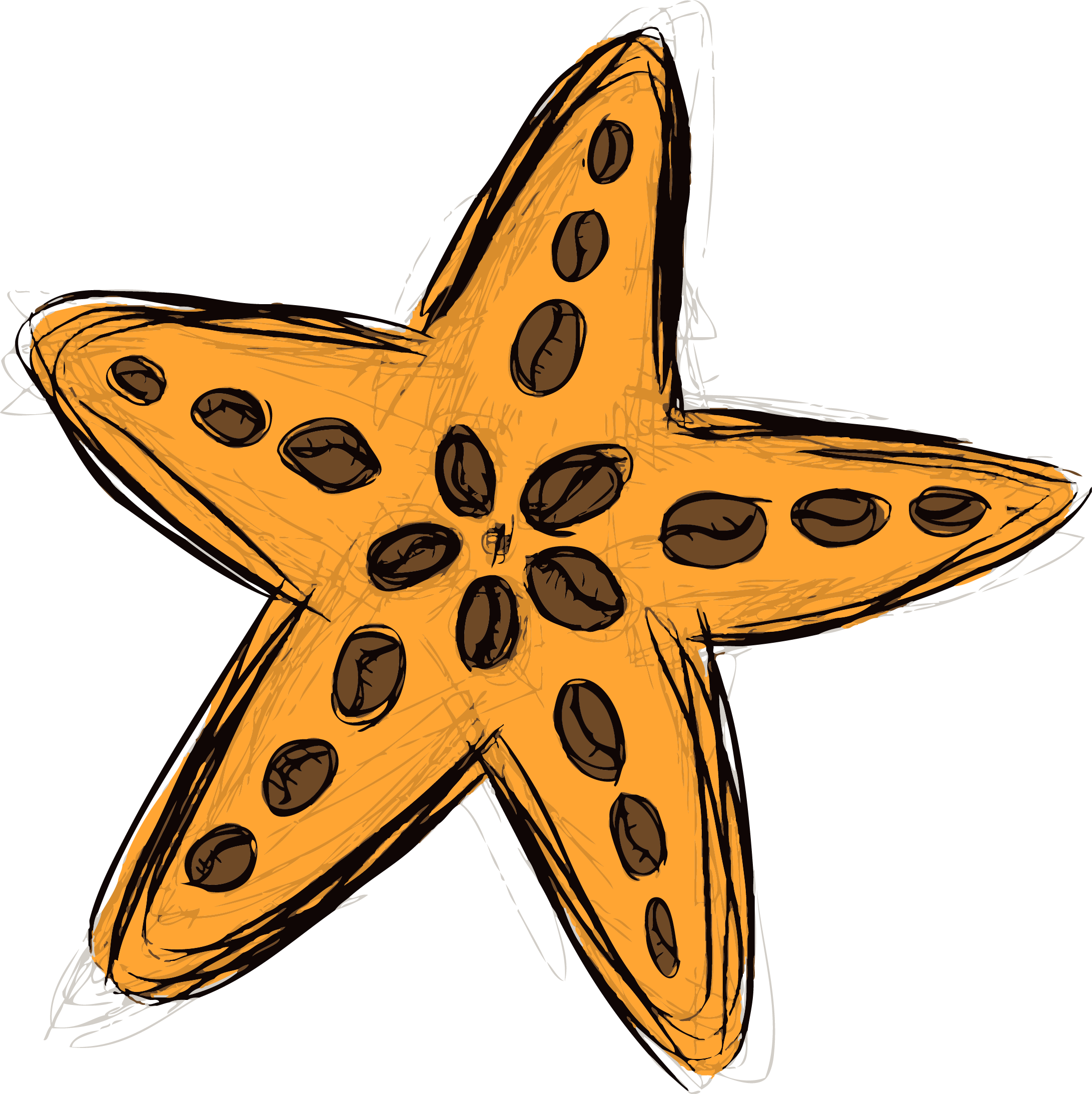 Starfish & Coffee Clipart (2183x2187), Png Download