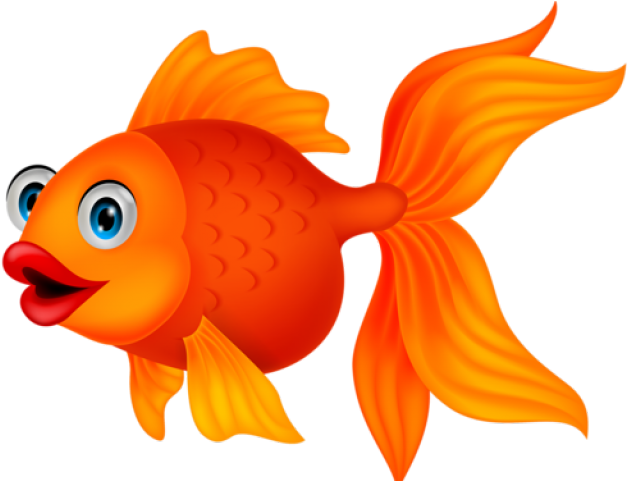 Gold Fish Clipart Printable - Png Download (640x480), Png Download