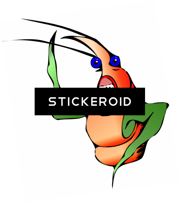 Insect Hd Clipart (587x662), Png Download