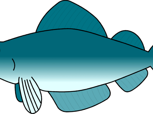 Koi Fish Clipart Spotted - Png Download (640x480), Png Download