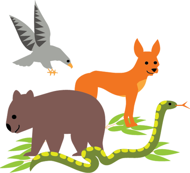An Interactive, Educational Wildlife Show Clipart (612x557), Png Download