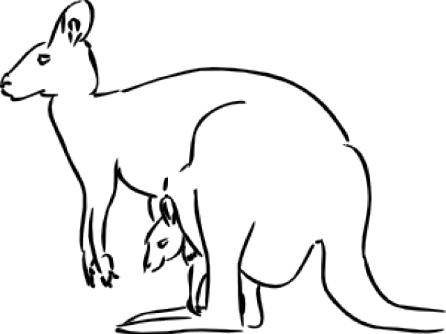 Kangaroo Clipart Easy - Png Download (640x480), Png Download