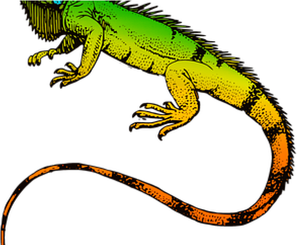 Iguana Clipart Wild Animal - Png Download (640x480), Png Download