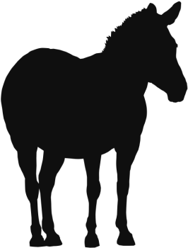 Animals Background Paper Cutting Clipart (640x640), Png Download