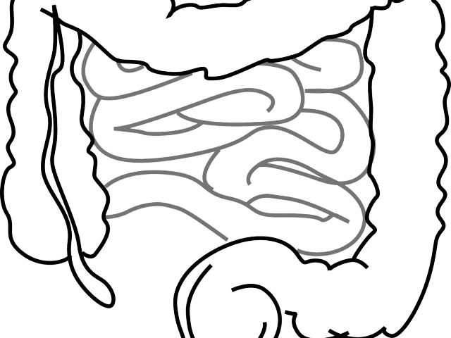 Medicine Clipart Preservative - Png Download (640x480), Png Download