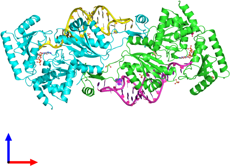 Download Pdb 3ovs Coloured By Chain And Viewed From The Front Clipart