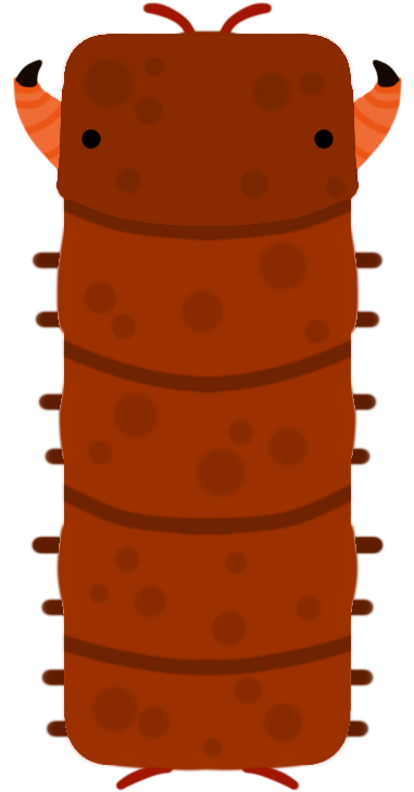 Animalamazonian Giant Centipede Clipart (1600x817), Png Download