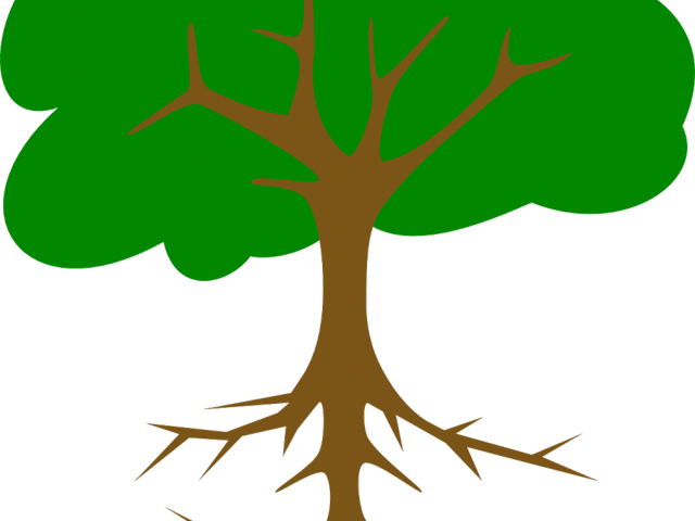 Roots Clipart Absorption - Png Download (640x480), Png Download