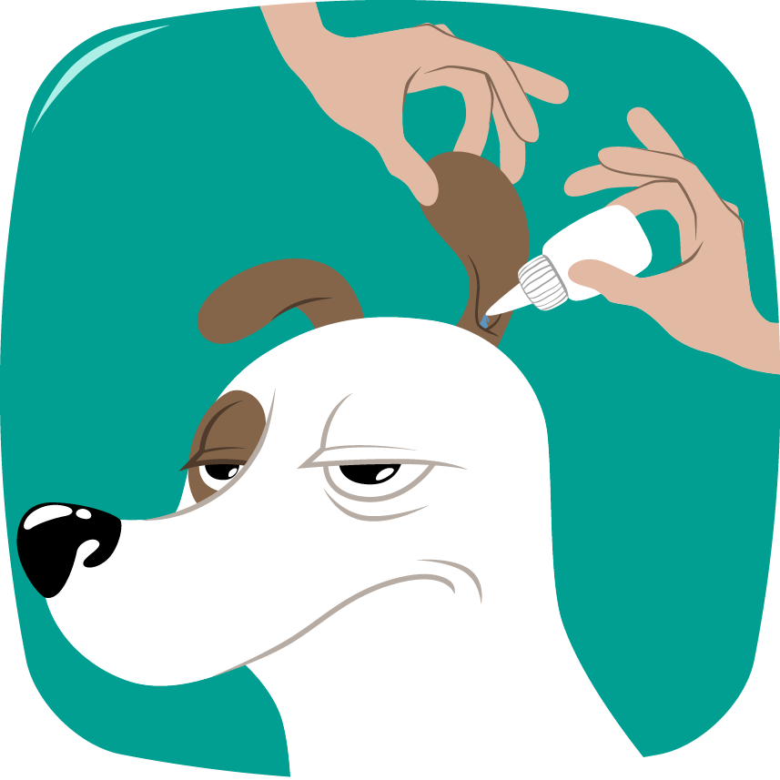 Nettoyer Oreille Chien Bien Être Clipart (857x857), Png Download