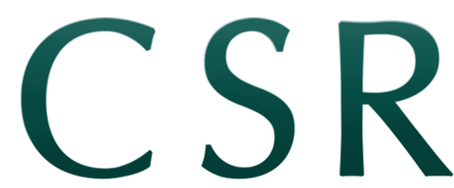 Avant De Faire Appel À Timsoft, Csr Safety Créait Ses Clipart (967x394), Png Download