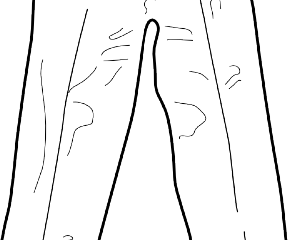 Denim Clipart Black And White - Png Download (640x480), Png Download