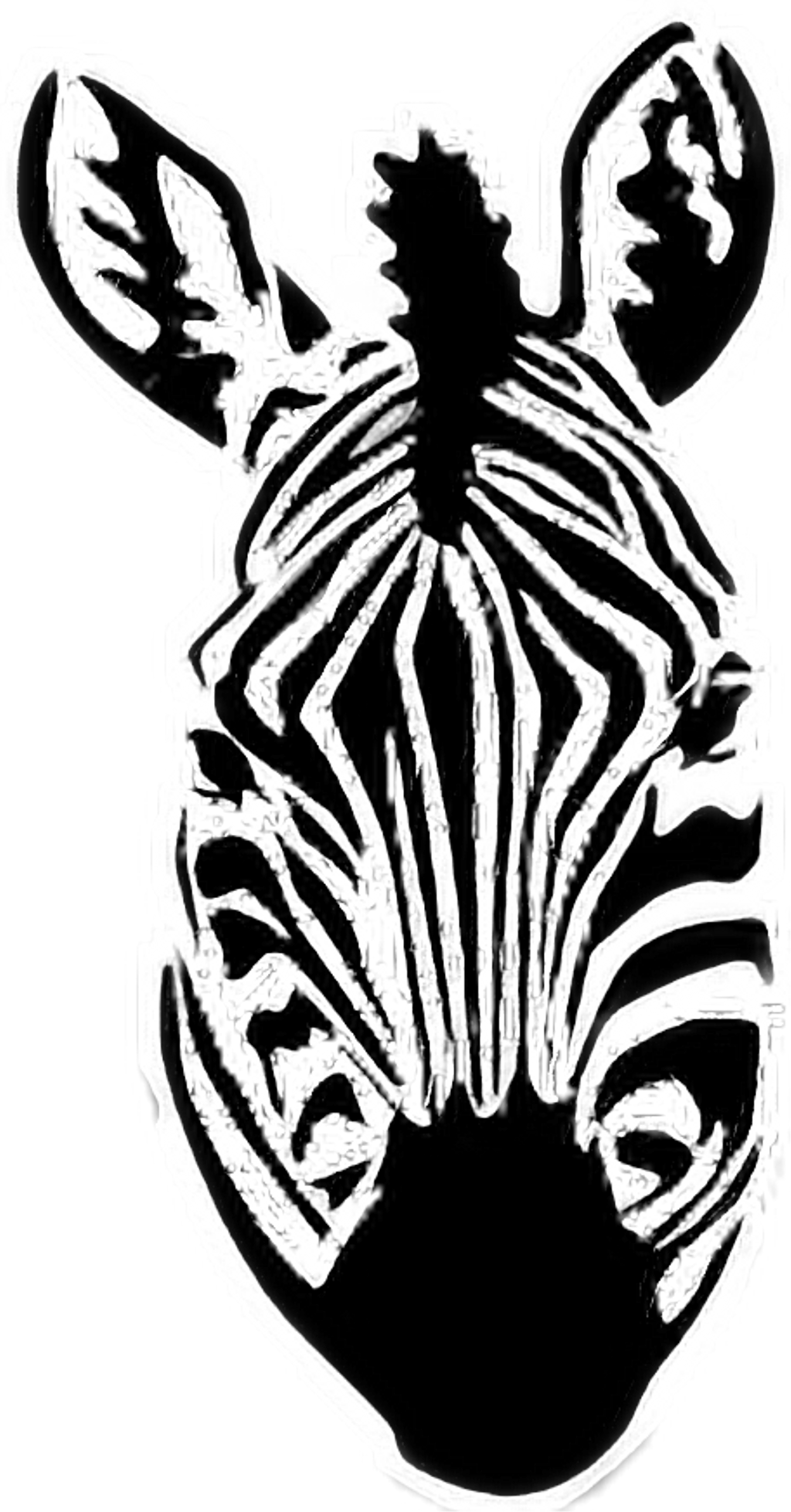 Zebra Sticker Clipart (1024x1958), Png Download