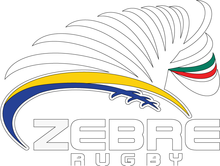 Pro 14 The Teams » Zebre Clipart (729x549), Png Download