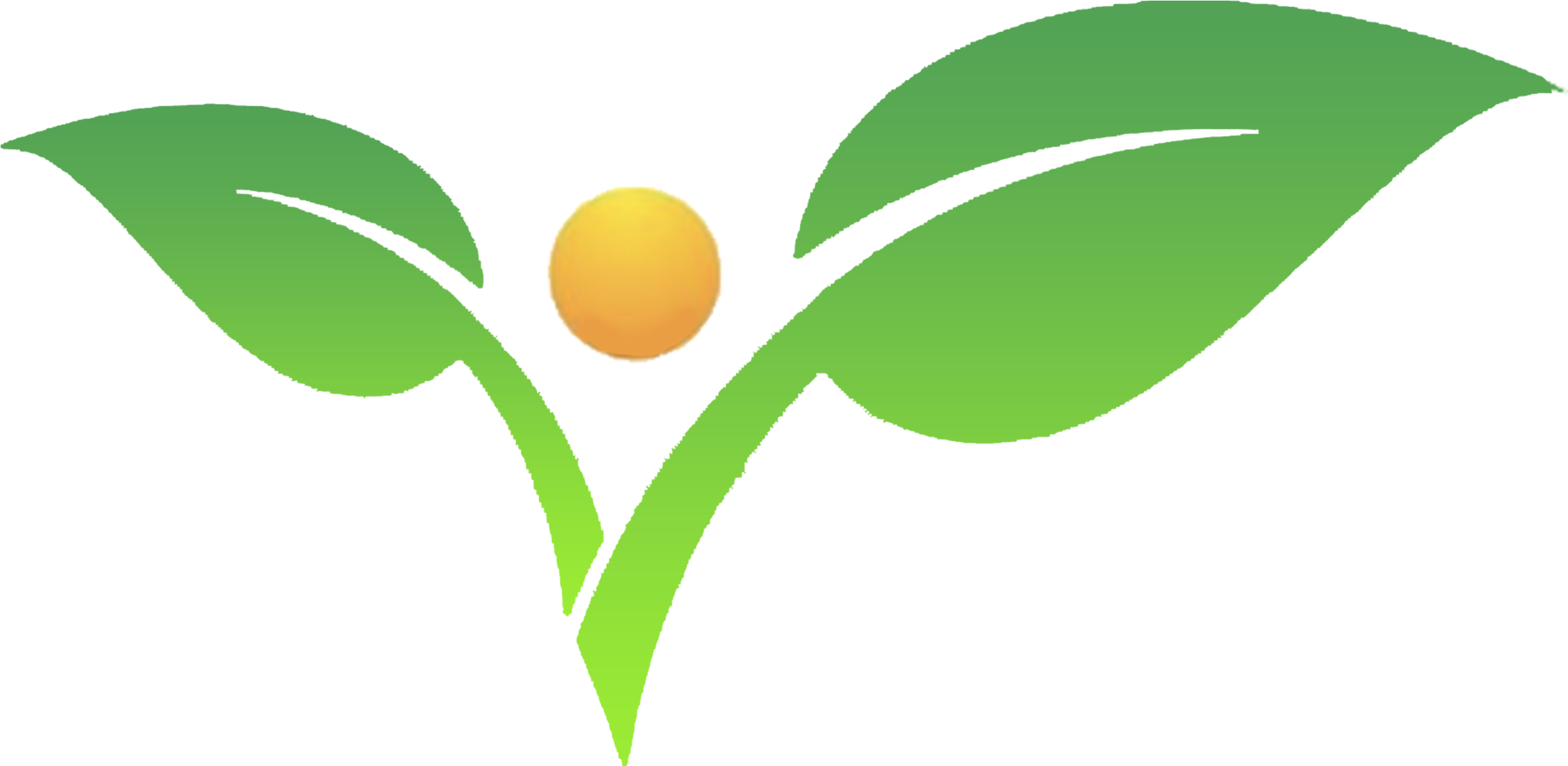Käfer Clipart - Png Download (3300x2550), Png Download