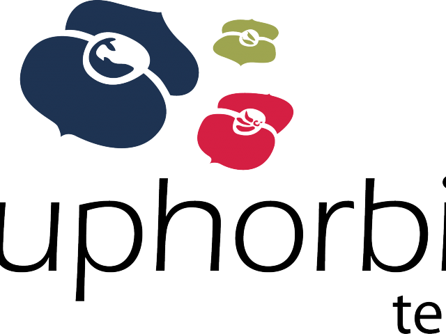 X Free Clip Art - Png Download (640x480), Png Download