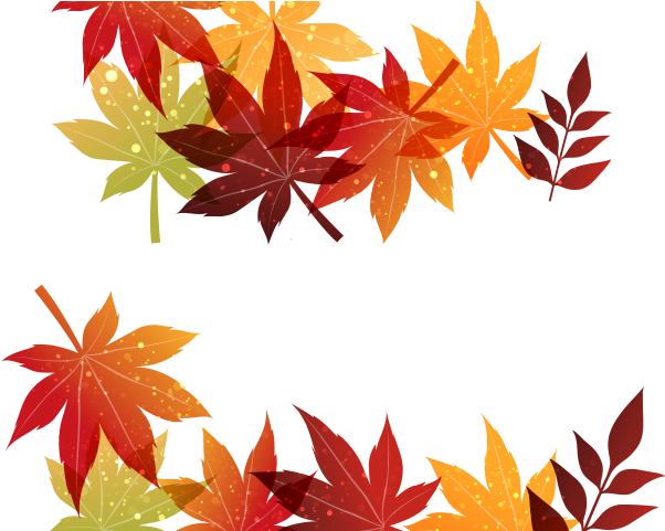 Autumn Leaves Clipart Different Leave - Png Download (640x480), Png Download