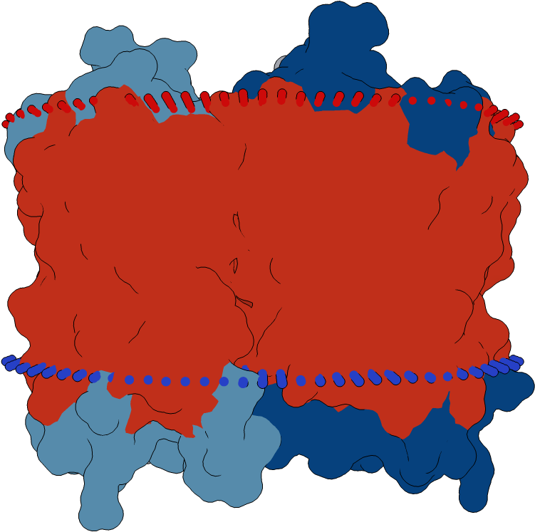 Transmembrane Flat Surface Display Opm Clipart (1000x1000), Png Download