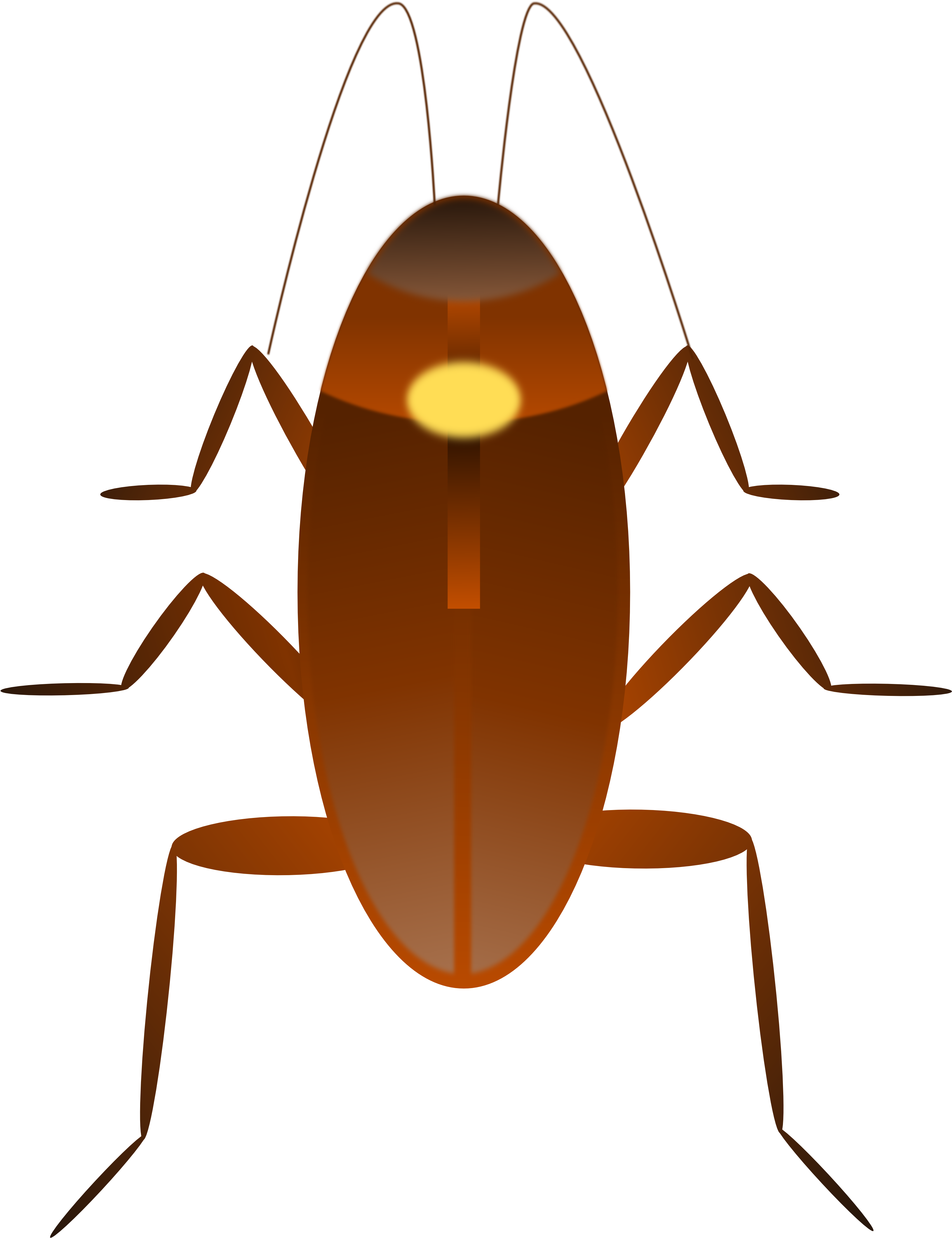 Cockroach Clip Art - Barata Desenho Png Transparent Png (3333x4294), Png Download