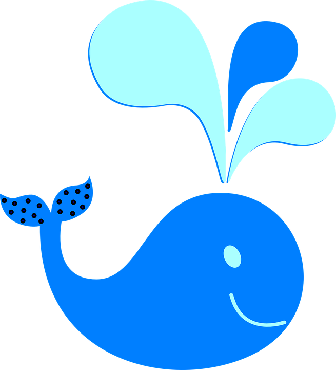 Polka Dot Whale New Color Clip Art - - Blue Water Spout Whale Blue Water Spout Whale Oval - Png Download (540x594), Png Download