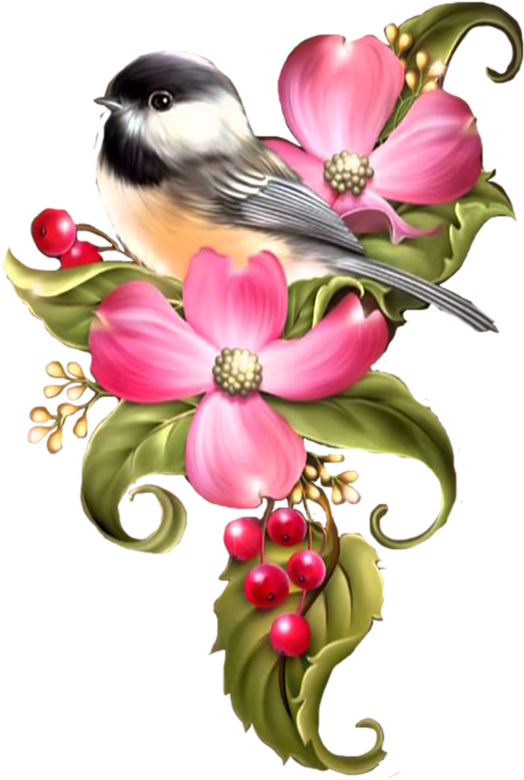 Bird Drawings, Bird Cages, Views Album, Clip Art, Scrapbook, - Whitelotous 5d Diy Flower And Bird Diamond Painting - Png Download (561x800), Png Download