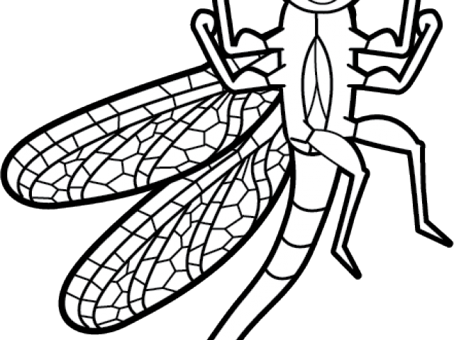 Dragonfly Clipart Black And White - Clip Art - Png Download (640x480), Png Download