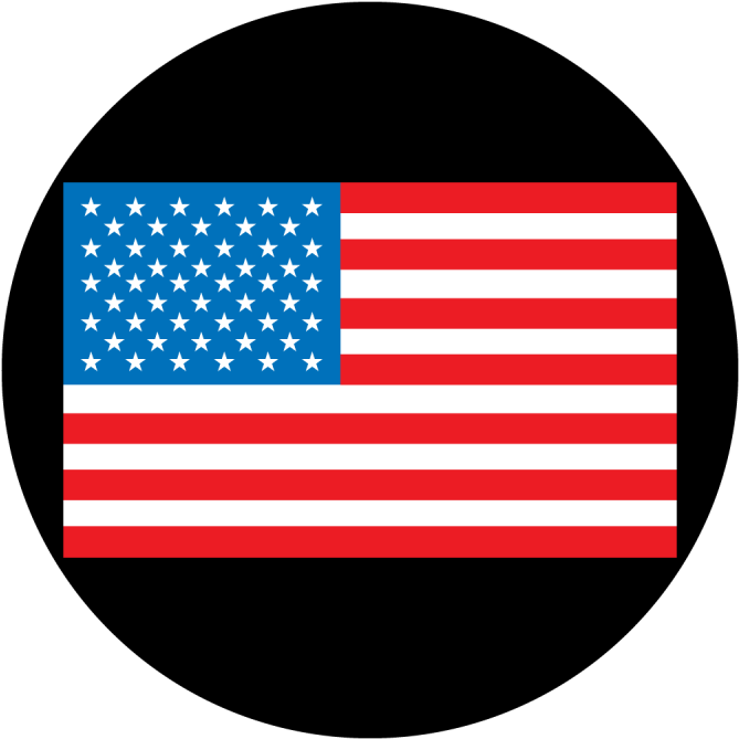 American Flag Clipart Flat - Chris Brown State Of The Union - Png Download (800x800), Png Download