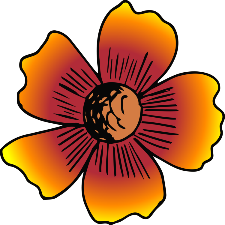 All Photo Png Clipart - Flower Transparent Png (750x750), Png Download