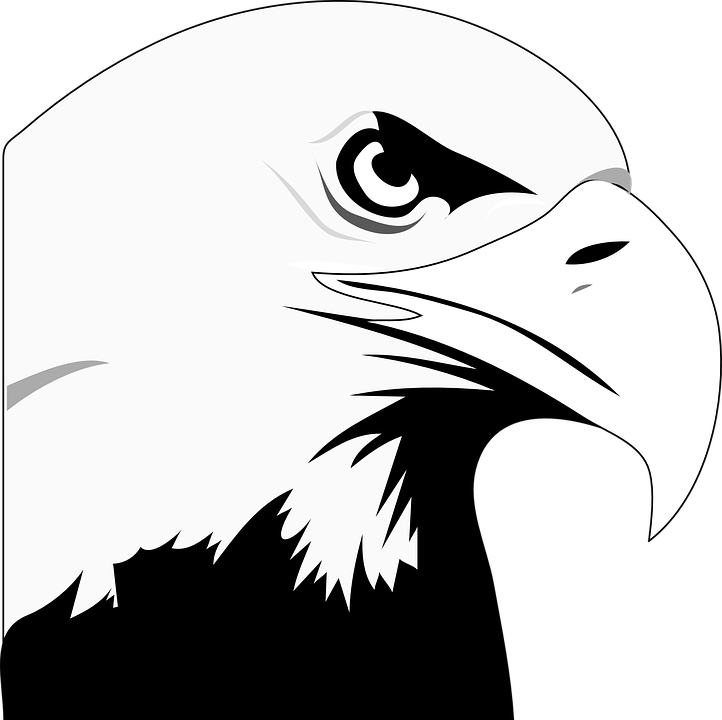 Animated Eagle - Clipart Library - Bald Eagle Black And White Clipart - Png Download (600x598), Png Download