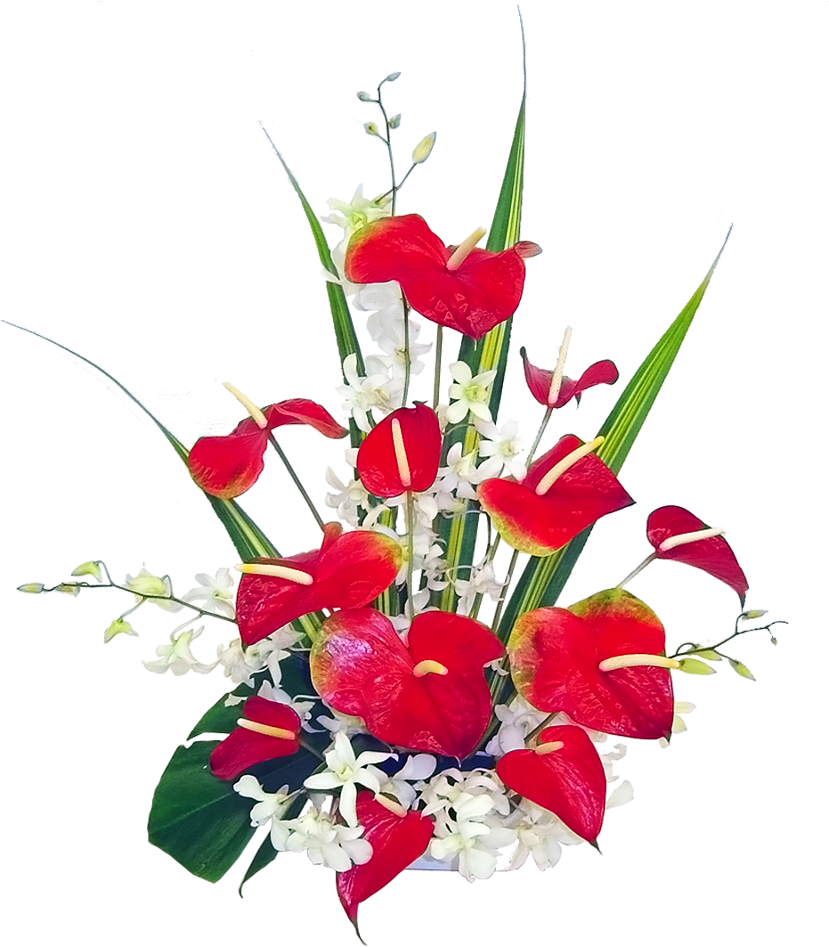 Hawaiian Flowers Clipart Free Download - Auguri Di Buon Onomastico Antonino - Png Download (1200x1200), Png Download