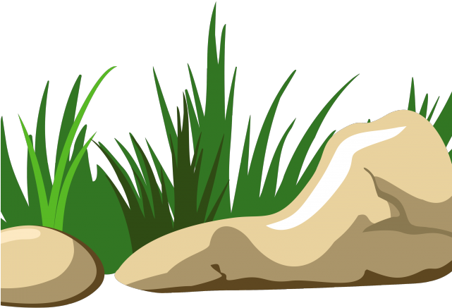 Original - Grass Clipart Png Transparent Png (640x480), Png Download