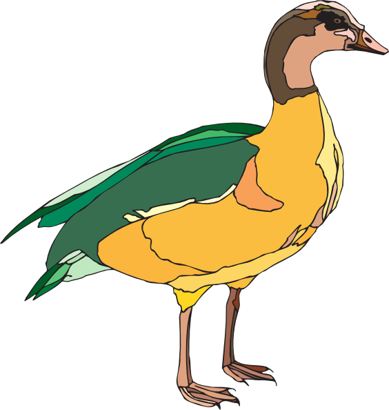 And Green Duck Clipart (564x594), Png Download