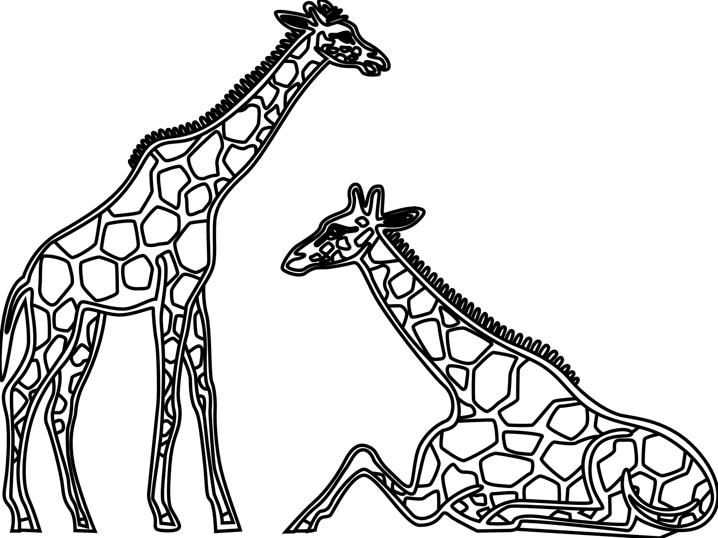 Giraffe Clipart Line Drawing - Giraffe Line Art - Png Download (1969x1475), Png Download