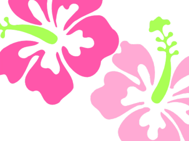 Pink Flower Clipart Hawaiian - Hibiscus Clip Art - Png Download (640x480), Png Download