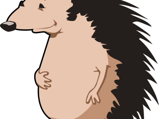 Hedgehog Clipart Clip Art - Png Download (640x480), Png Download