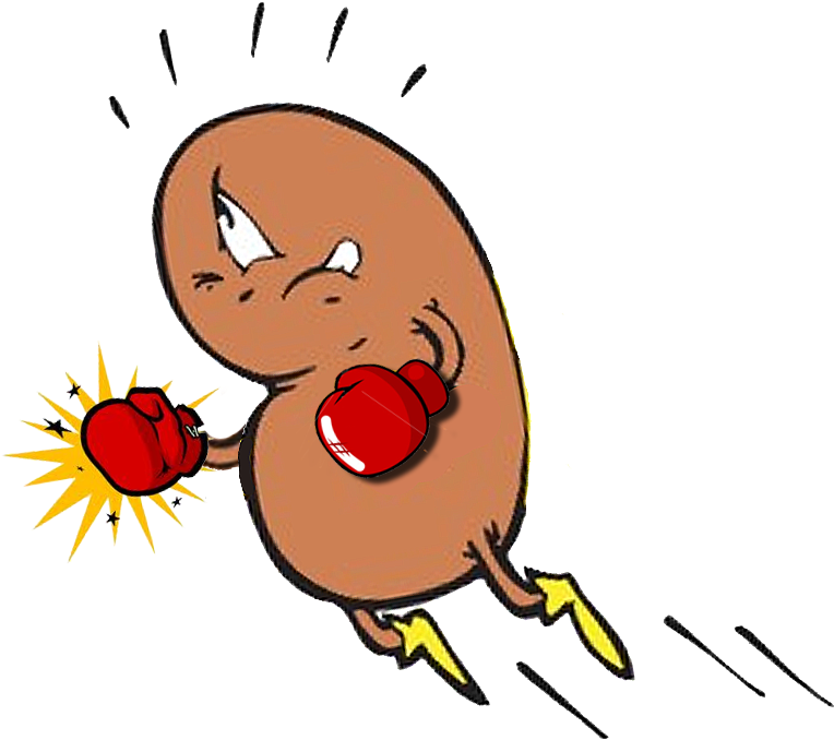2013 February Boxing Kidney Clipart Full Size Clipart (289368