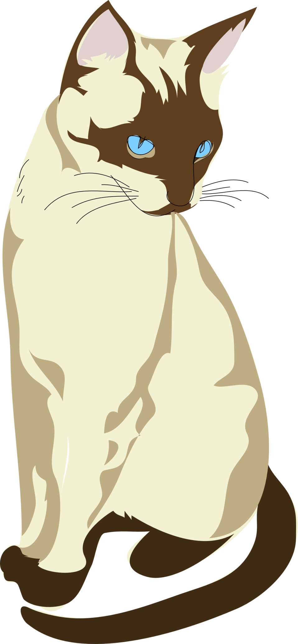 Architetto Gatto - Gatto Clipart - Png Download (958x2070), Png Download