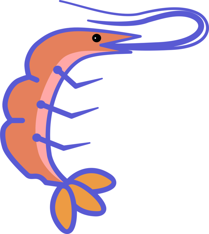 Shrimp Crab Lobster Fishing Seafood - Shrimp Clipart (668x750), Png Download