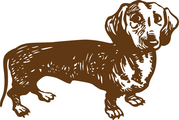Dachshund-converted Clipart (749x504), Png Download